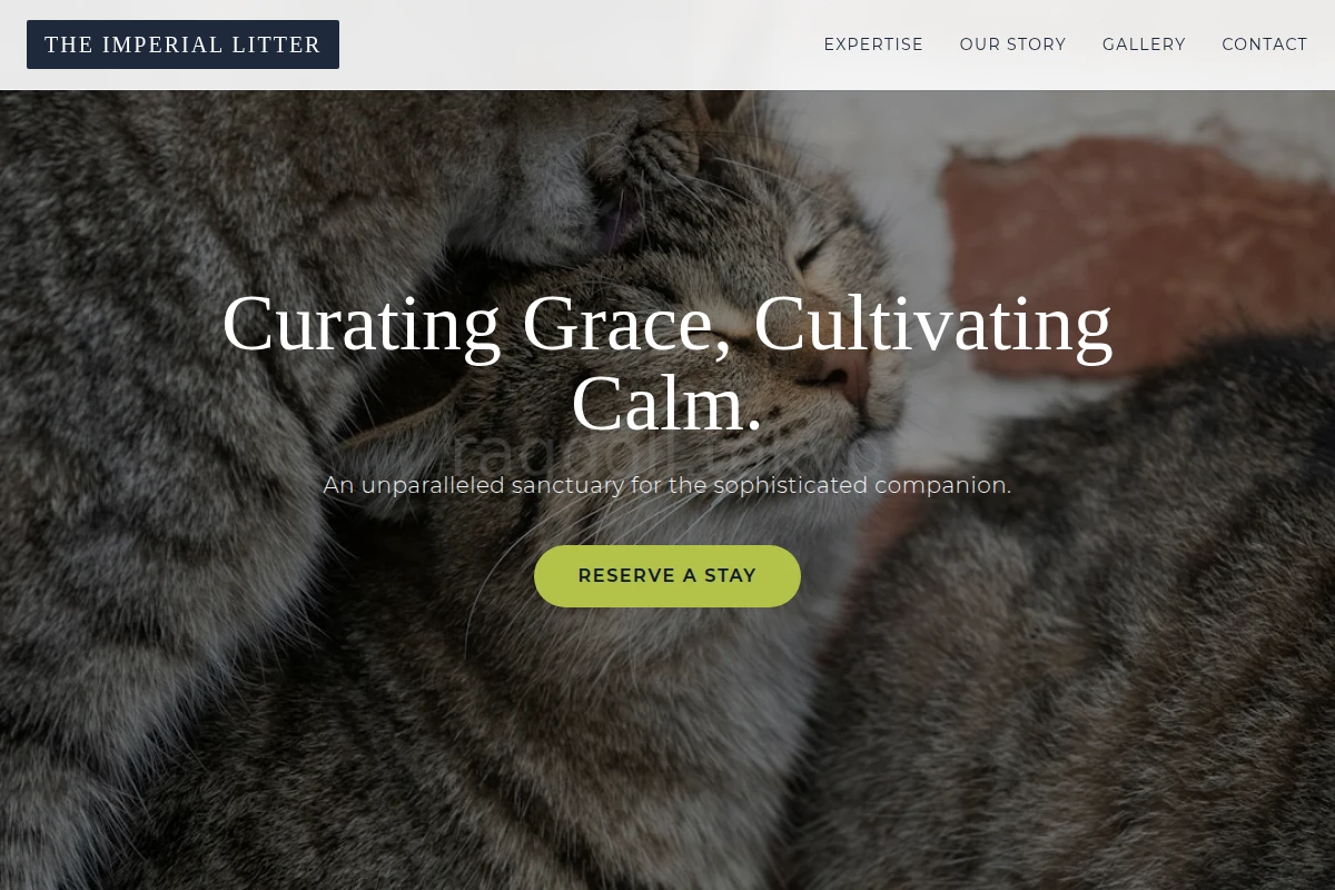 Premium Animal Care Website Design