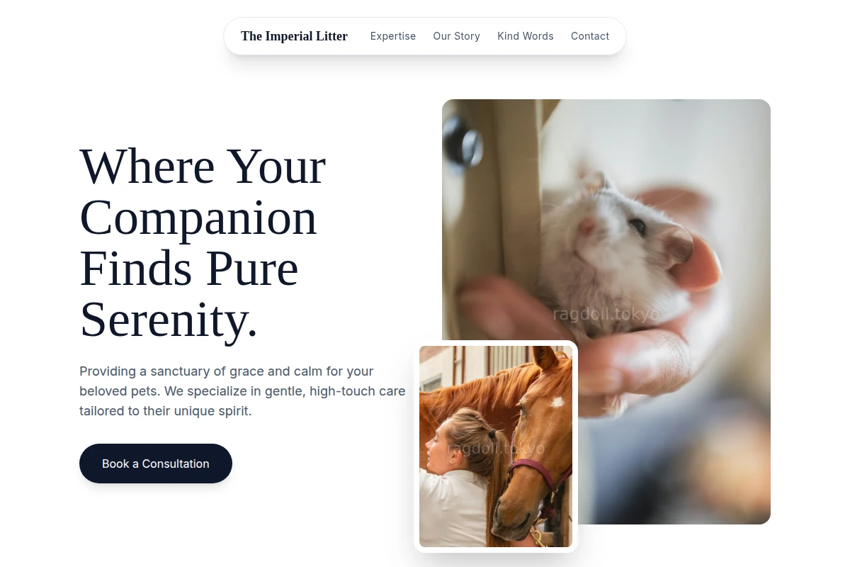 Haven Animal Care