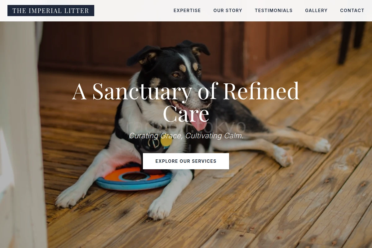 Bloom Pet Services