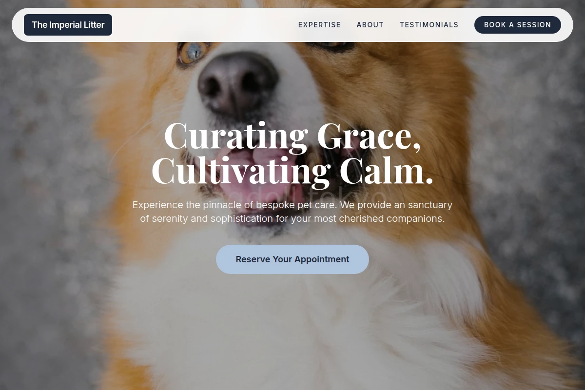 Bloom Pet Services