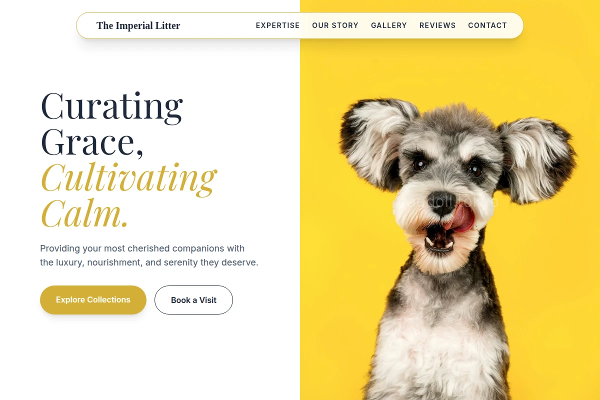 Boutique Pet Shop